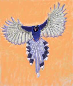 taiwan blue magpie
