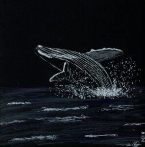 baleine