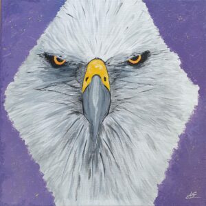 Aigle : yeux dans les yeux