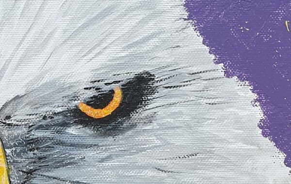 Aigle : yeux dans les yeux – Image 3