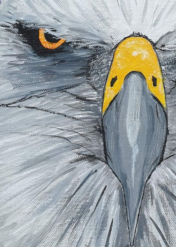 Aigle : yeux dans les yeux – Image 2