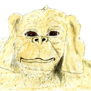 Falkor (Histoire sans fin)