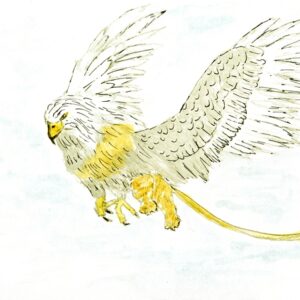 Griffon