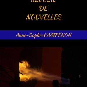 Recueil de nouvelles