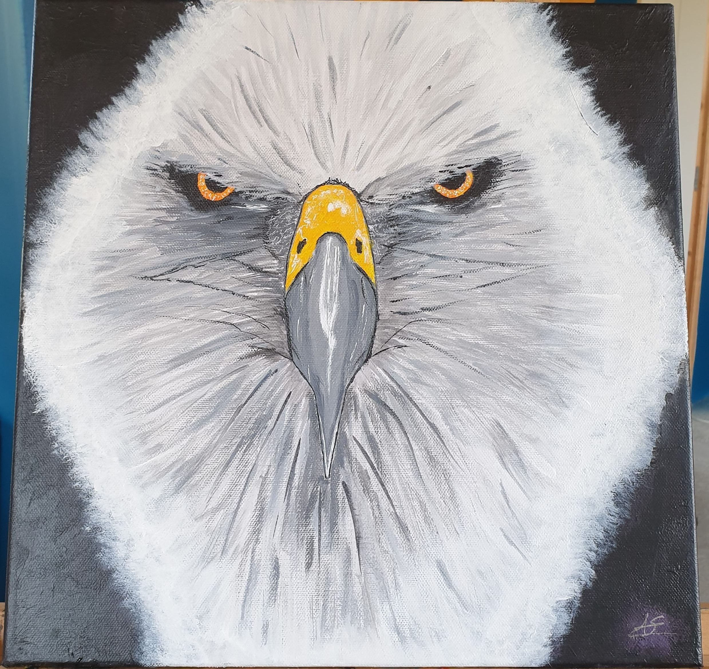 Eyes of eagle