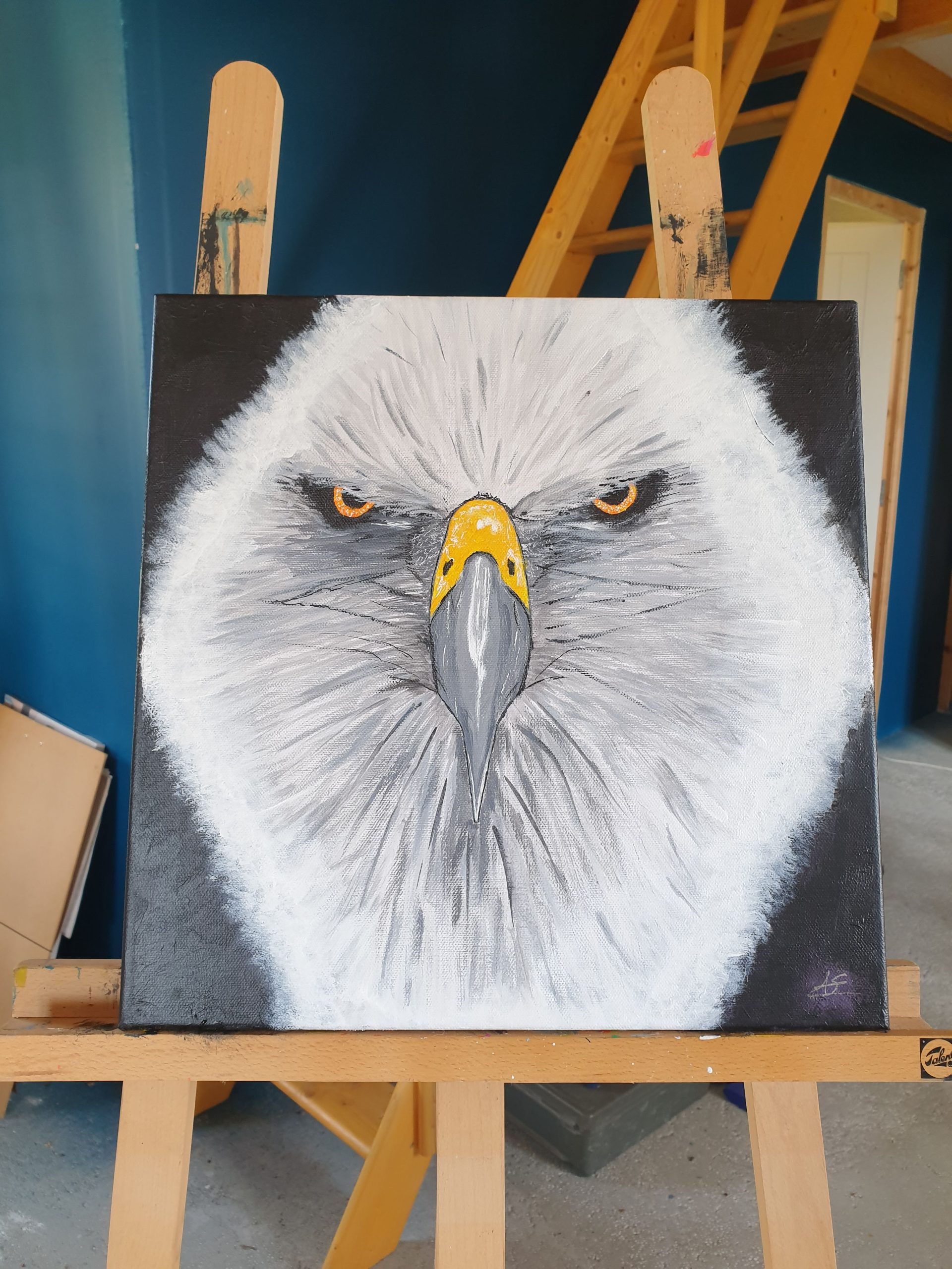 Eyes of eagle – Image 4