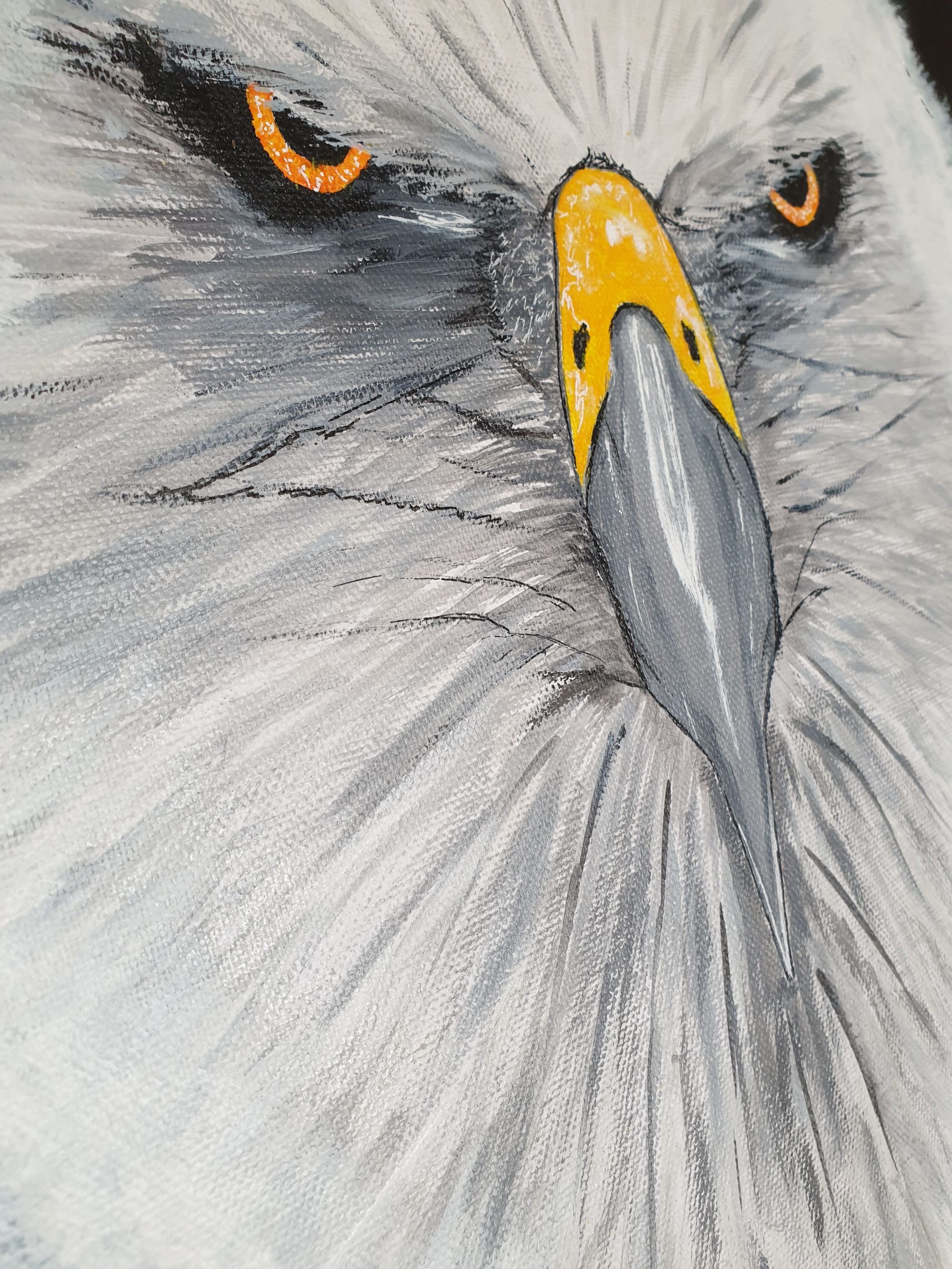Eyes of eagle – Image 3