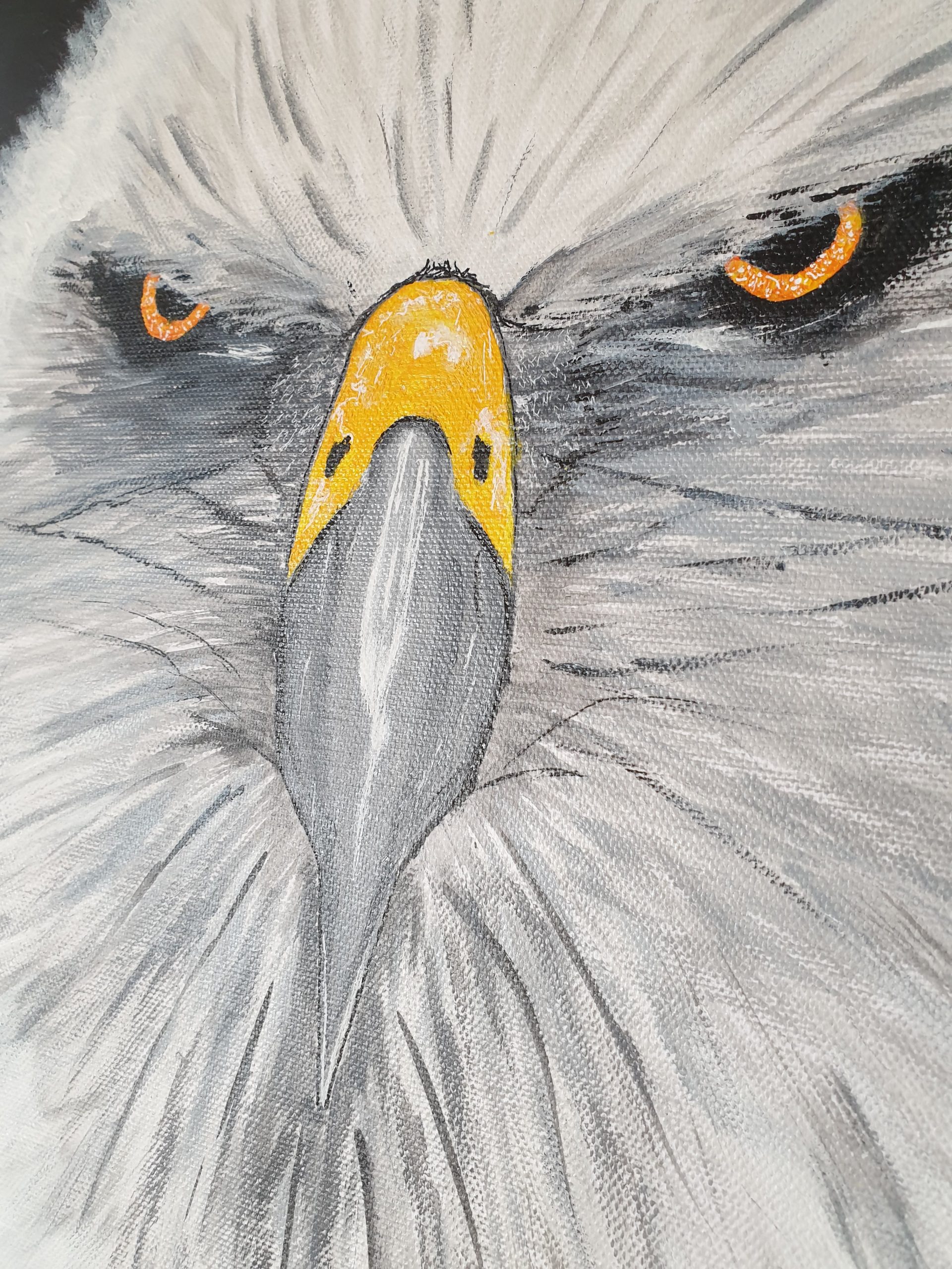 Eyes of eagle – Image 2