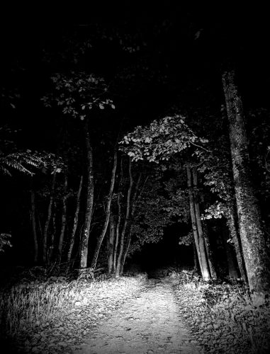 dans les bois de Ruban